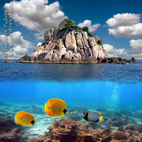 Дайвинг Пхукет Таиланд - русский дайв-клуб – Дейли-дайвинг, дайв-сафари Дайвинг Пхукет Таиланд - русский дайв-клуб - Дейли-дайвинг, дайв-сафари