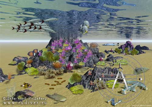 Дайвинг Пхукет Таиланд - русский дайв-клуб - Дайв-сайт Дайвинг Пхукет Таиланд - русский дайв-клуб - Дайв-сайт