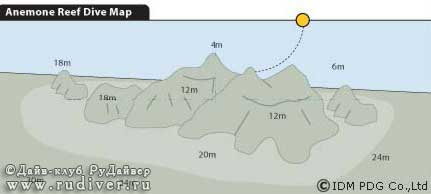Дайвинг Пхукет Таиланд - русский дайв-клуб – Дейли-дайвинг, Дайв-сайт Анемон Риф, Anemone Reef Дайвинг Пхукет Таиланд - русский дайв-клуб - Дейли-дайвинг, Дайв-сайт Анемон Риф, Anemone Reef