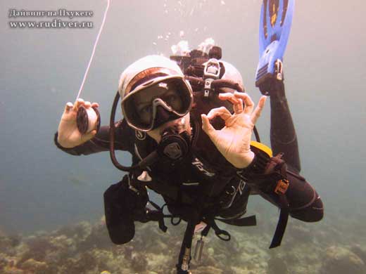 Дайвинг Пхукет Таиланд - русский дайв-клуб - курсы PADI - безопасность дайвинга Дайвинг Пхукет Таиланд - русский дайв-клуб - курсы PADI - безопасность дайвинга