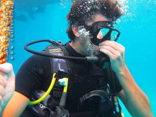 Дайвинг Пхукет Таиланд - русский дайв-клуб – Курс PADI Open Water Referral - завершение курса PADI OWD, открытая вода Дайвинг Пхукет Таиланд - русский дайв-клуб - Курс PADI Open Water Referral - завершение курса PADI OWD, открытая вода