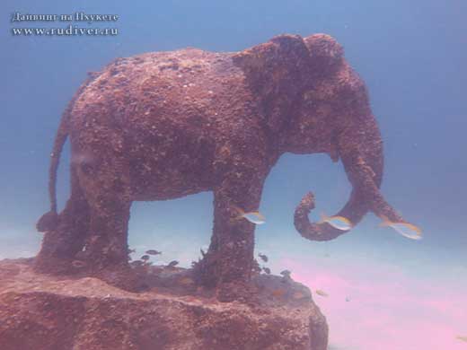 Дайвинг Пхукет Таиланд - русский дайв-клуб - дейли-дайвинг Рача Яй Сиам бэй