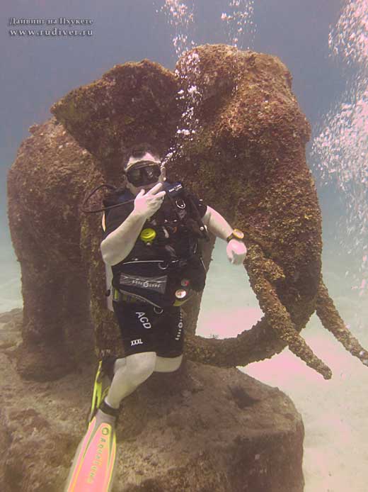 Дайвинг Пхукет Таиланд - русский дайв-клуб - дейли-дайвинг Рача Яй Сиам бэй