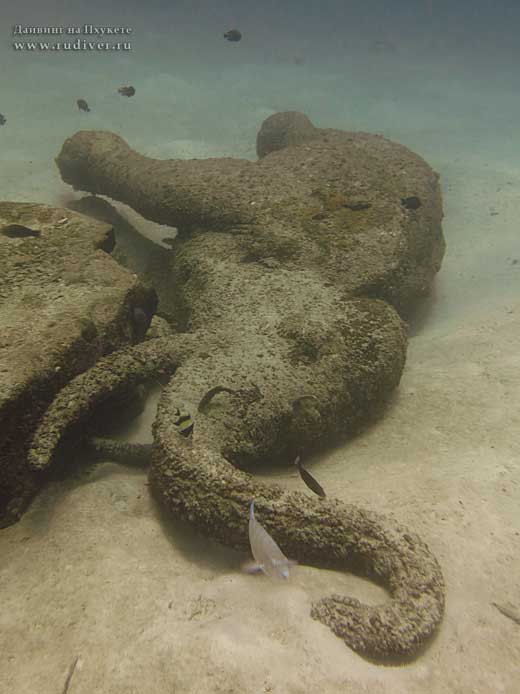 Дайвинг Пхукет Таиланд - русский дайв-клуб - дейли-дайвинг Рача Яй Сиам бэй
