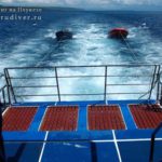 Корабль для дайв-сафари премиум класс №1