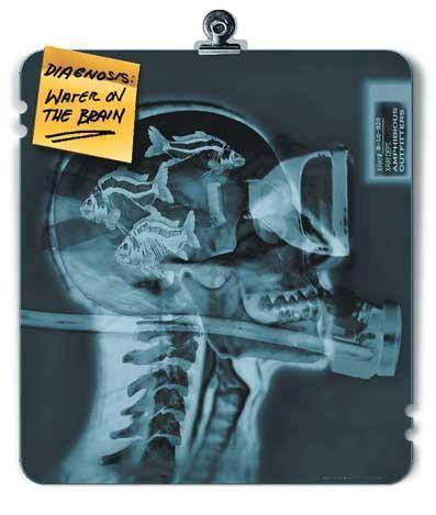 Дайвинг Пхукет Таиланд - русский дайв-клуб - обучение дайвингу, курсы дайвинга, попробовать дайвинг, пробное погружение