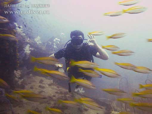 Дайвинг Пхукет Таиланд - русский дайв-клуб - курсы PADI - курс AOWD, Advance, ПАДИ эдванс е