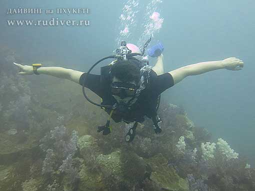 Дайвинг Пхукет Таиланд - русский дайв-клуб - курсы PADI - курс AOWD, Advance, ПАДИ эдванс е