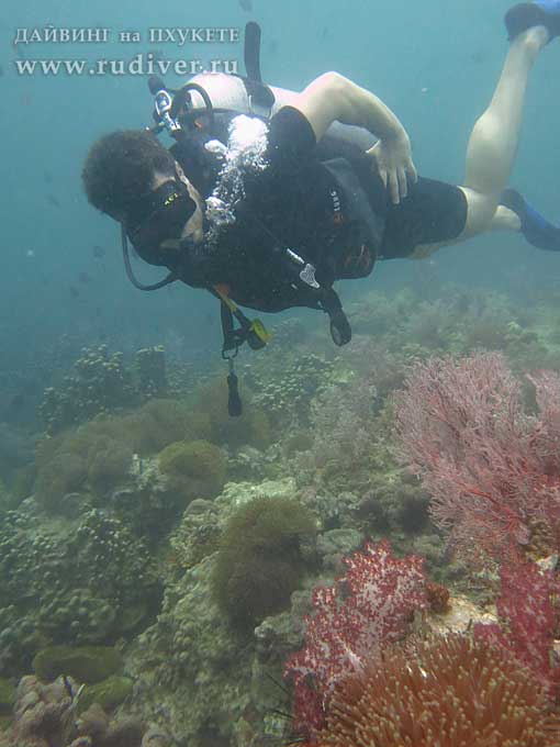 Дайвинг Пхукет Таиланд - русский дайв-клуб - курсы PADI - курс AOWD, Advance, ПАДИ эдванс е