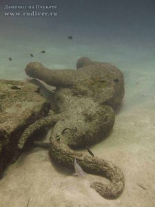 Дайвинг на Пхукете Сенсация века