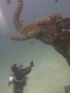 Дайвинг на Пхукете Сенсация века