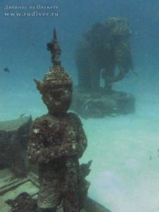 Дайвинг на Пхукете Сенсация века