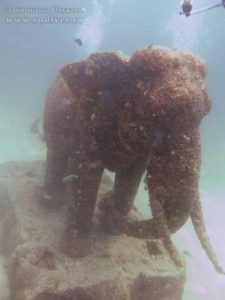 Дайвинг на Пхукете Сенсация века